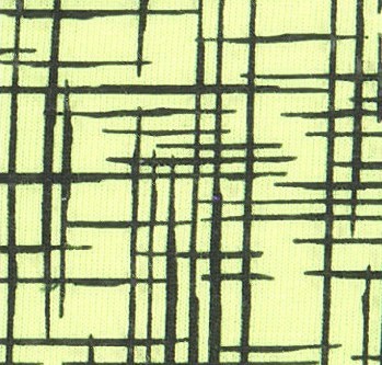 Softshell4.jpg